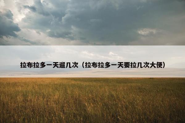 拉布拉多一天遛几次（拉布拉多一天要拉几次大便）