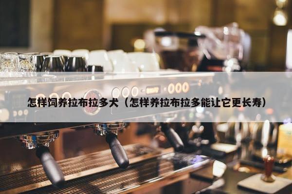 怎样饲养拉布拉多犬（怎样养拉布拉多能让它更长寿）