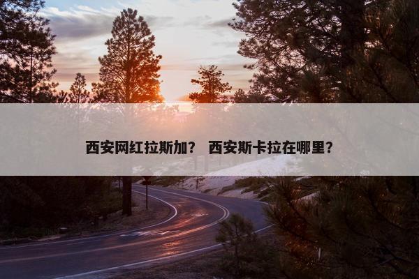 西安网红拉斯加？ 西安斯卡拉在哪里？