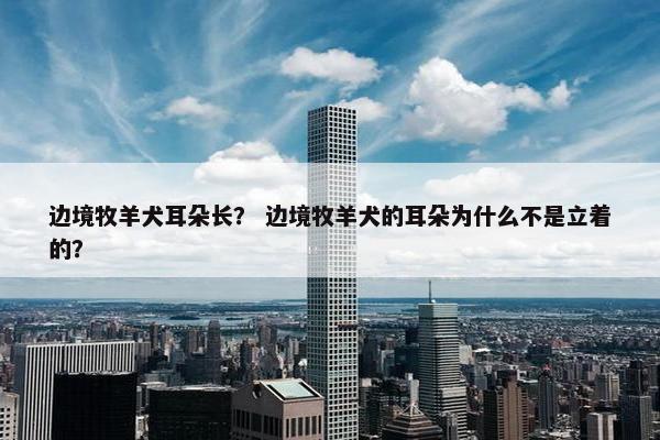 边境牧羊犬耳朵长？ 边境牧羊犬的耳朵为什么不是立着的？