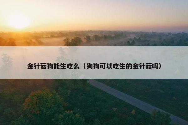 金针菇狗能生吃么（狗狗可以吃生的金针菇吗）