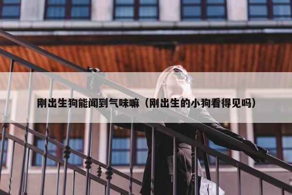 刚出生狗能闻到气味嘛（刚出生的小狗看得见吗）