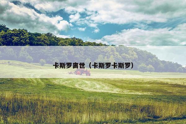 卡斯罗离世（卡斯罗卡斯罗）