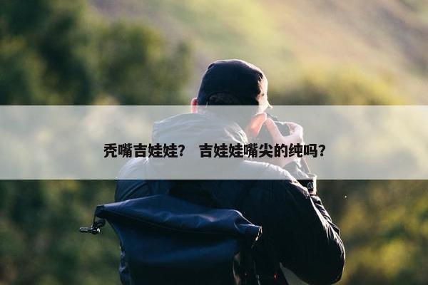 秃嘴吉娃娃？ 吉娃娃嘴尖的纯吗？