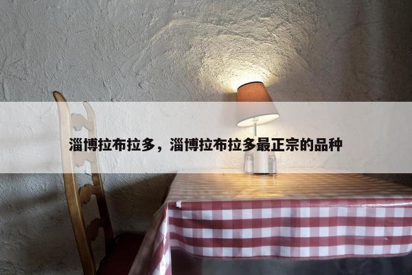 淄博拉布拉多，淄博拉布拉多最正宗的品种
