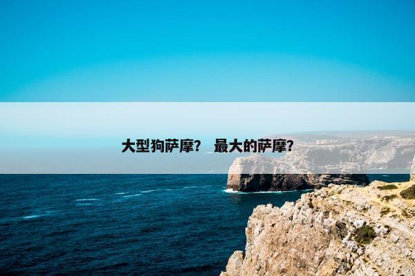 大型狗萨摩？ 最大的萨摩？