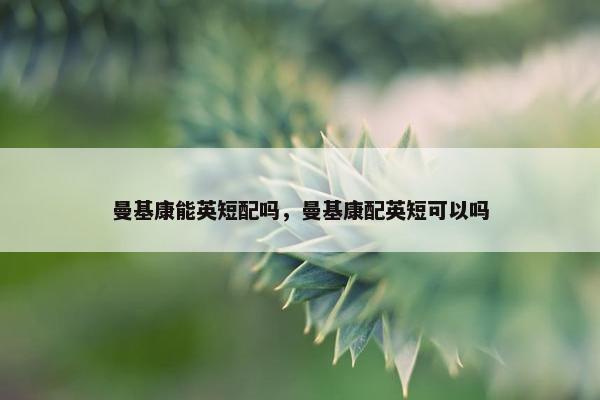 曼基康能英短配吗，曼基康配英短可以吗