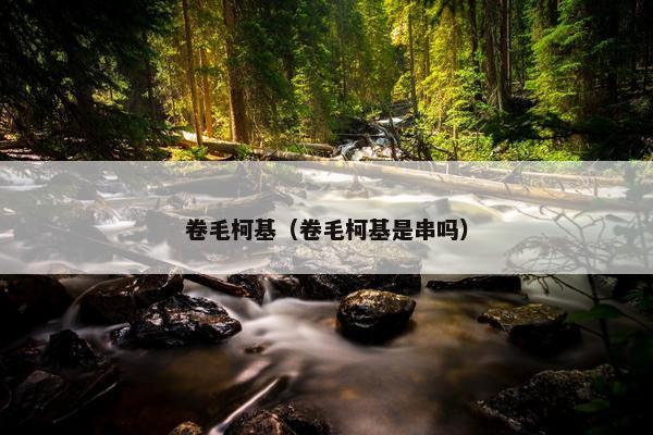 卷毛柯基（卷毛柯基是串吗）