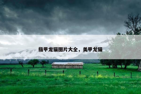 指甲龙猫图片大全，美甲龙猫