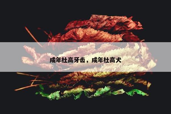 成年杜高牙齿，成年杜高犬