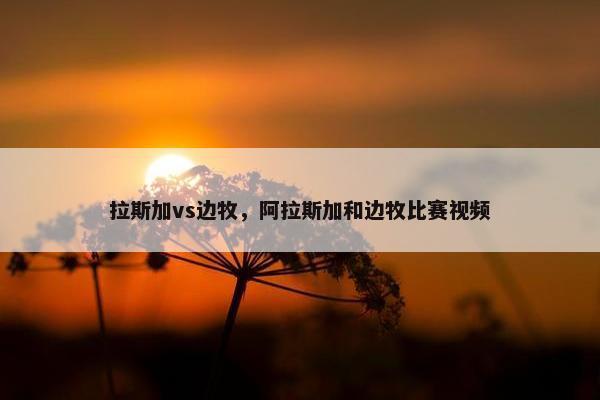 拉斯加vs边牧，阿拉斯加和边牧比赛视频