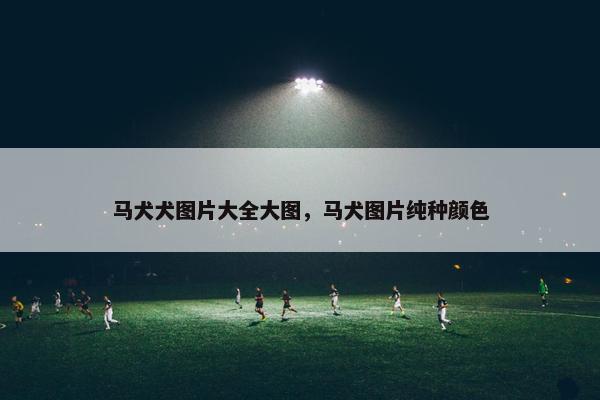 马犬犬图片大全大图，马犬图片纯种颜色