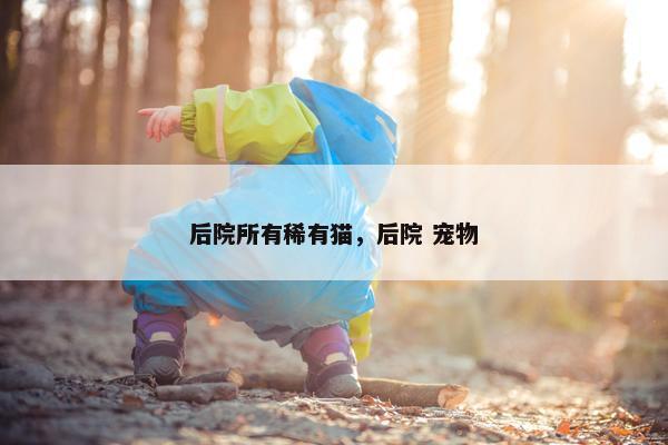 后院所有稀有猫，后院 宠物