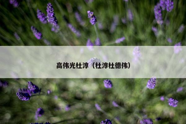 高伟光杜淳（杜淳杜德伟）