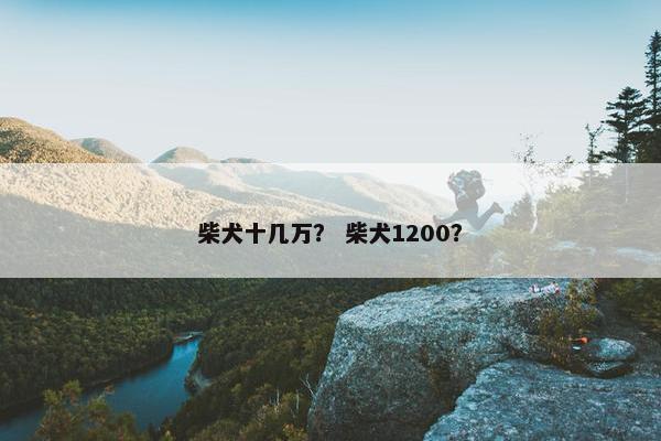柴犬十几万？ 柴犬1200？