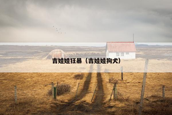吉娃娃狂暴（吉娃娃狗犬）