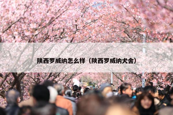 陕西罗威纳怎么样（陕西罗威纳犬舍）
