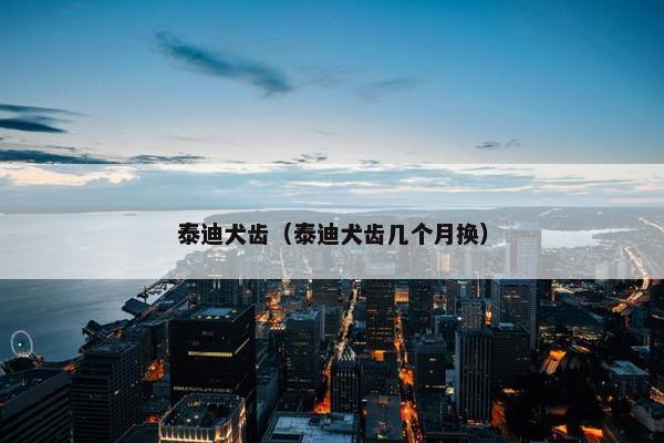 泰迪犬齿（泰迪犬齿几个月换）