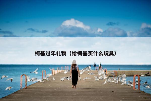 柯基过年礼物（给柯基买什么玩具）
