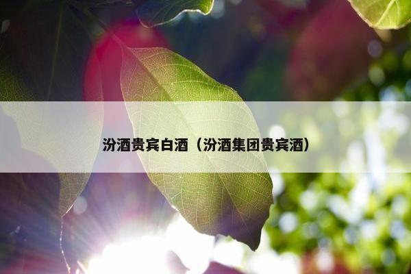 汾酒贵宾白酒（汾酒集团贵宾酒）