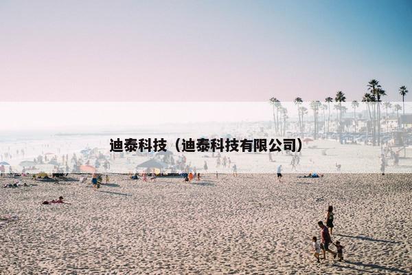 迪泰科技（迪泰科技有限公司）