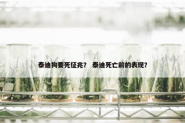 泰迪狗要死征兆？ 泰迪死亡前的表现？