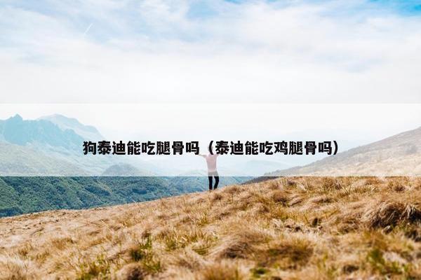 狗泰迪能吃腿骨吗（泰迪能吃鸡腿骨吗）
