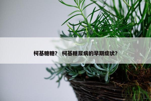柯基糖糖？ 柯基糖尿病的早期症状？