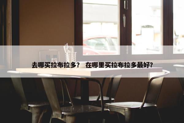 去哪买拉布拉多？ 在哪里买拉布拉多最好？