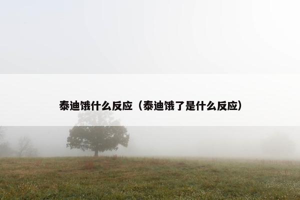 泰迪饿什么反应（泰迪饿了是什么反应）