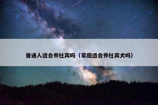 普通人适合养杜宾吗（家庭适合养杜宾犬吗）