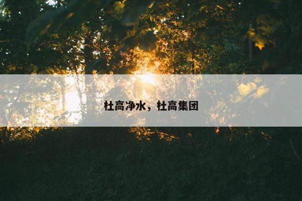 杜高净水，杜高集团