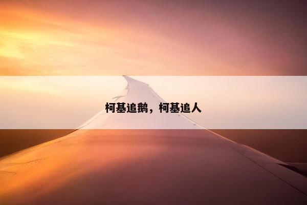 柯基追鹅，柯基追人