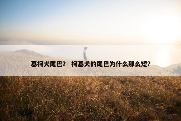基柯犬尾巴？ 柯基犬的尾巴为什么那么短？