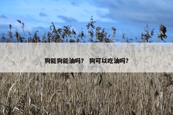 狗能狗能油吗？ 狗可以吃油吗？