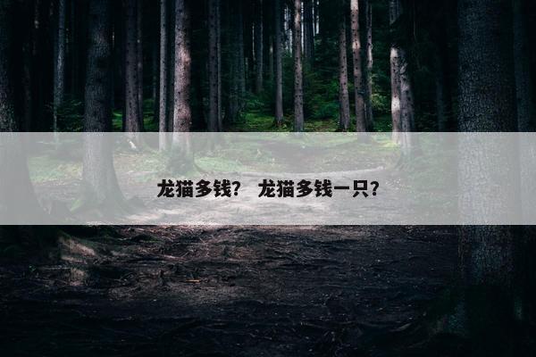 龙猫多钱？ 龙猫多钱一只？