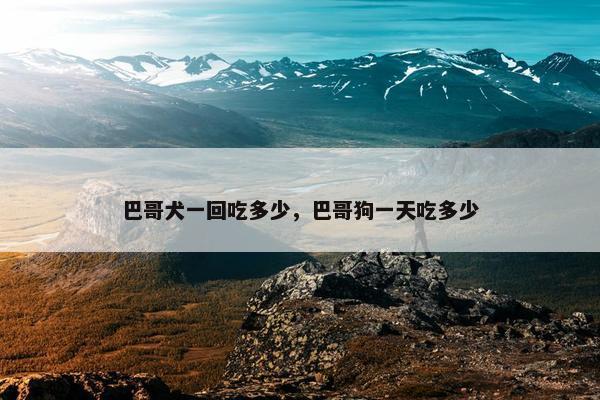 巴哥犬一回吃多少，巴哥狗一天吃多少