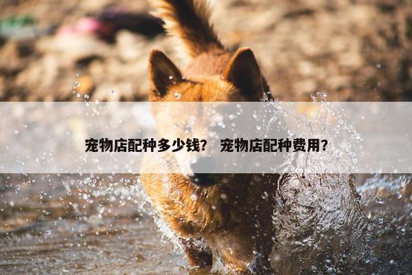 宠物店配种多少钱？ 宠物店配种费用？
