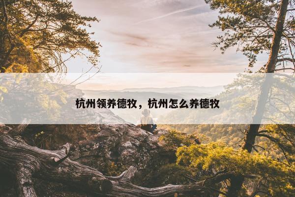 杭州领养德牧，杭州怎么养德牧