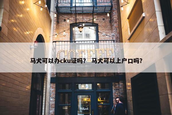 马犬可以办cku证吗？ 马犬可以上户口吗？