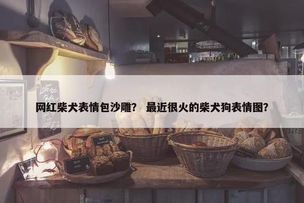 网红柴犬表情包沙雕？ 最近很火的柴犬狗表情图？