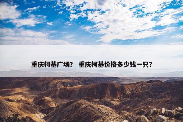重庆柯基广场？ 重庆柯基价格多少钱一只？