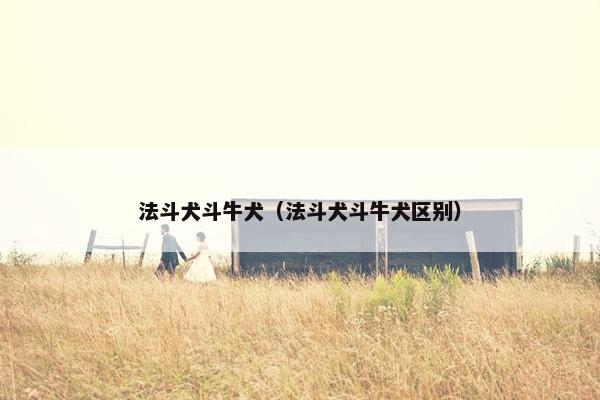 法斗犬斗牛犬（法斗犬斗牛犬区别）