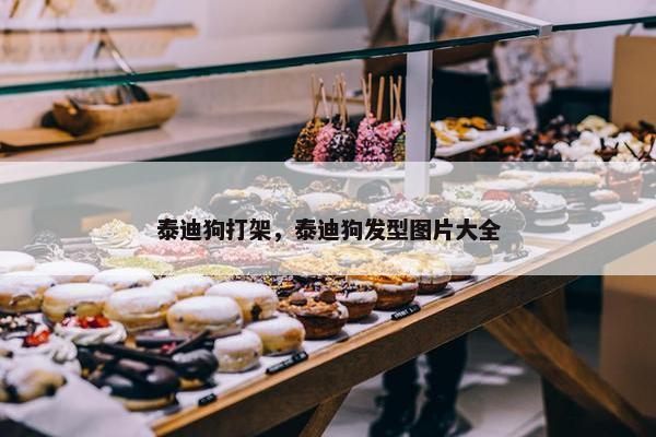 泰迪狗打架，泰迪狗发型图片大全
