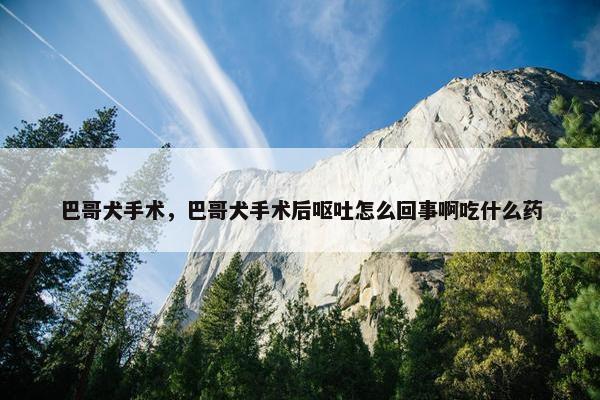 巴哥犬手术，巴哥犬手术后呕吐怎么回事啊吃什么药