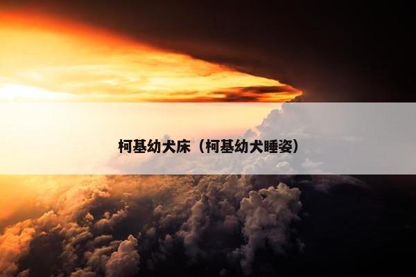 柯基幼犬床（柯基幼犬睡姿）