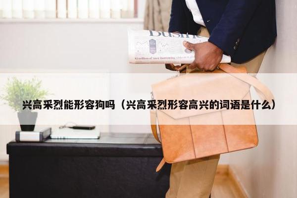 兴高采烈能形容狗吗（兴高采烈形容高兴的词语是什么）