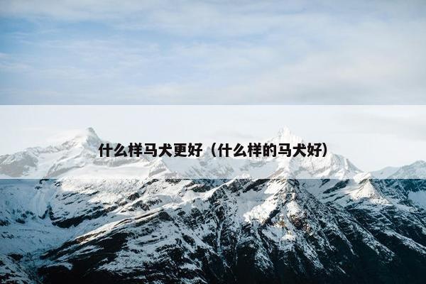 什么样马犬更好（什么样的马犬好）