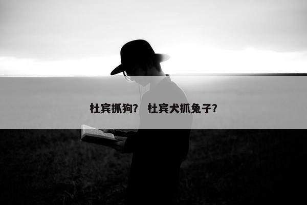 杜宾抓狗？ 杜宾犬抓兔子？