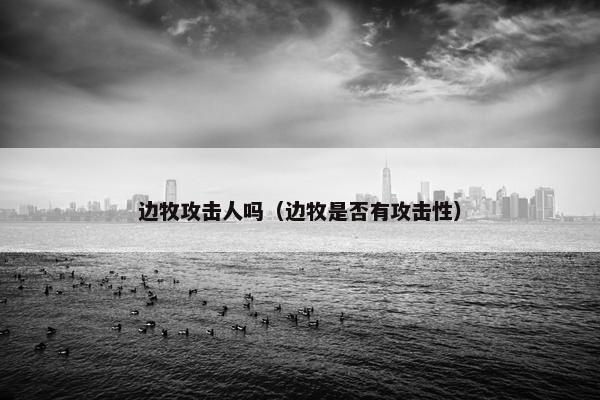 边牧攻击人吗（边牧是否有攻击性）